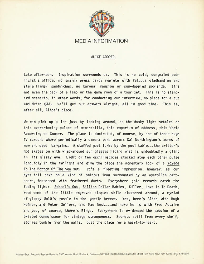 Flush The Fashion Press Release (1980)